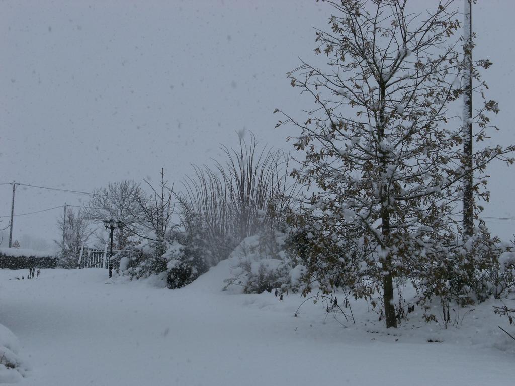Ker Francozen Renaudière Roz-sur-Couesnon Exterior foto